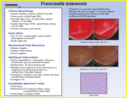 http://www.health.ny.gov/guidance/oph/wadsworth/francisella_tularensis.pdf