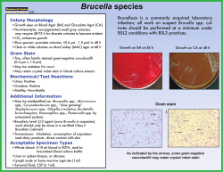 http://www.health.ny.gov/guidance/oph/wadsworth/brucella_species.pdf