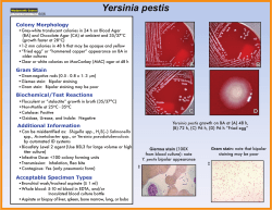 http://www.health.ny.gov/guidance/oph/wadsworth/yersinia_pestis.pdf