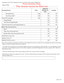 Attachment 4: WIC VMA Application Section VI. NYS WIC VMA Summary Budget Form (Print Version Only)