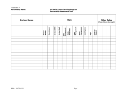 Partnership Assessment Tool, Work Plan Template, and Budget Template