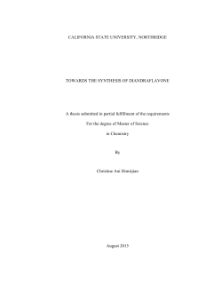 Dimirjian Christine thesis 2015