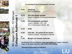 Inbjudan IEI-dagen 2013