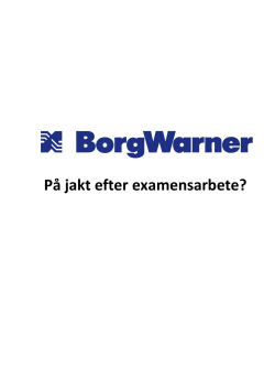 Master_Thesis_at_BorgWarner