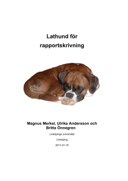 Lathund f&ouml;r rapportskrivning
