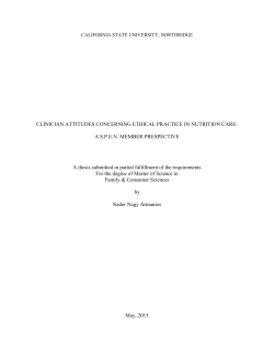 Armanios Nader thesis 2015