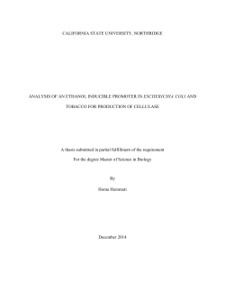 Hemmati Homa thesis 2015