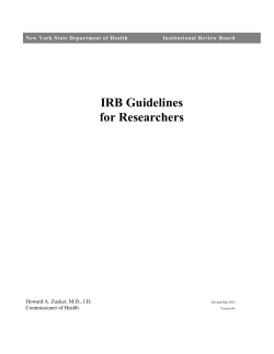 Institutional Review Board Guidelines for Researchers (DOCX)