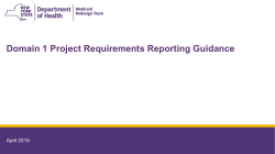 Domain 1 Project Requirements Reporting Guidance