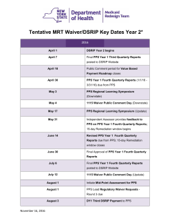 DSRIP Year 2 Timeline