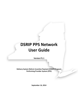 DSRIP - PPS Network User Guide VP1.1