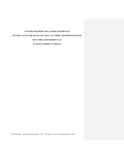 DSRIP Special Terms and Conditions