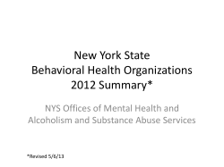 NYS BHO 2012 Summary
