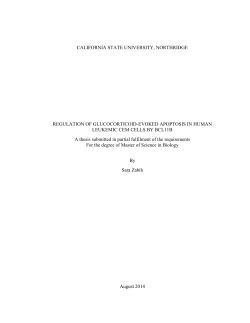 Zabih Sara thesis 2014