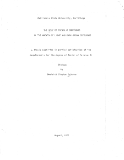 SalernoDominick1977