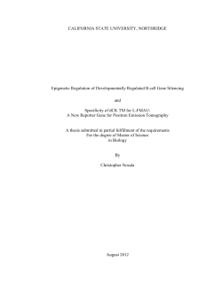 NosalaChristopherThesis