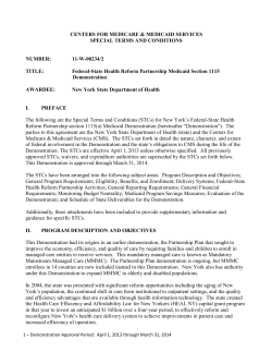 Special Terms and Conditions