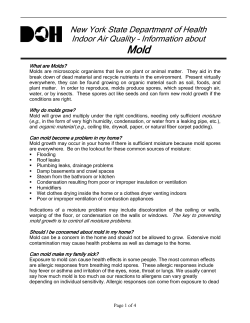 Indoor Air Quality-Information about Mold