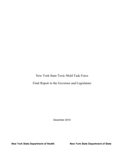 New York State Toxic Mold Task Force Report to the Governor and Legislature, December 2010