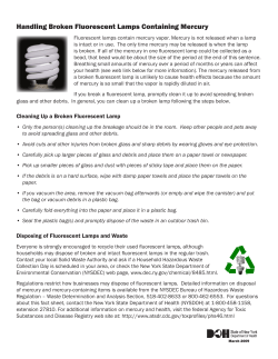 Handling Broken Fluorescent Lamps Containing Mercury