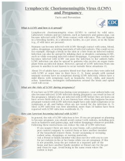 Lymphocytic Choriomenningitis Virus and Pregnancy Fact Sheet