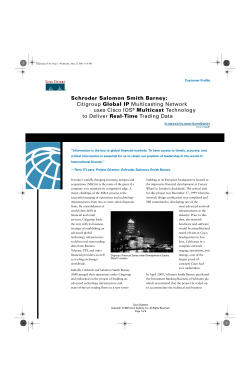 Schroder Salomon Smith Barney: Customer Profile