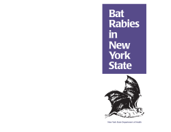 Bat Rabies in New York State