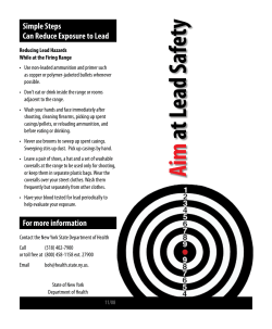 Aim at Lead Safety