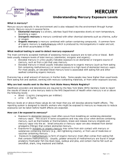 Understanding Mercury Exposure Levels
