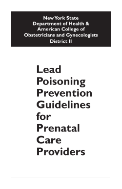 Lead Poisoning Prevention Guidelines for Prenatal Care Providers is available in Portable Document Format