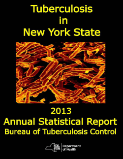 2013 Annual Report