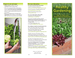 Healthy Gardening: Tips for New and Experienced Gardeners