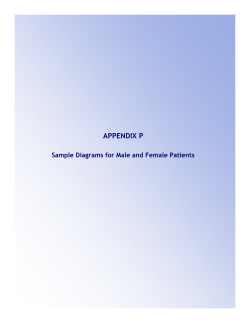 Appendix P