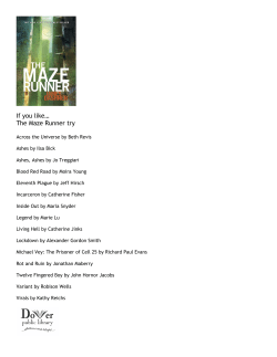 The Maze Runner