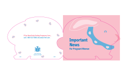 Important News for Pregnant Women - Revised October 2010 (English)