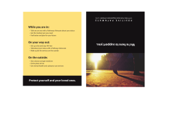 We're Here to Support You - Palm Cards