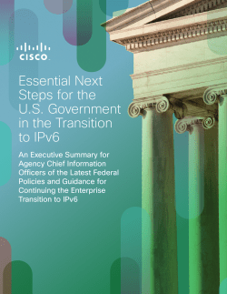 Essential Next Steps for the U.S. Government in the Transition to IPv6 White Paper