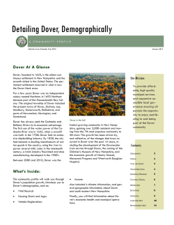 Dover Demographics Report (2013)