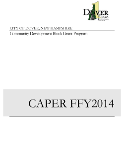 Consolidated Annual Performance and Evaluation Report (CAPER) FFY14