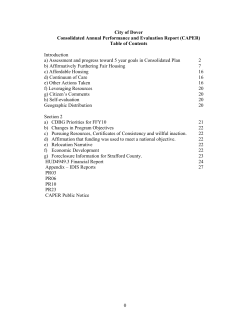Consolidated Annual Performance and Evaluation Report (CAPER) FFY10