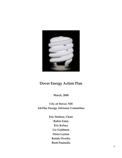 Energy Action Plan (2008)