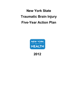 New York State Traumatic Brain Injury Five-Year Action Plan, 2012
