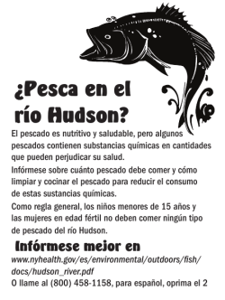 Anuncio de Servicio P blico