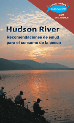Rio Hudson: Recomendaciones de salud para el consumo de la pesca