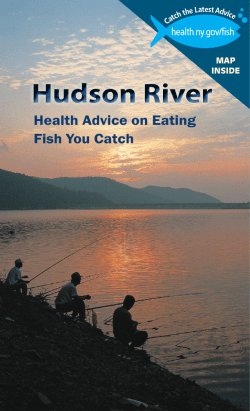 Advice on Eating Hudson River Fish
