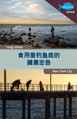 Simplified Chinese