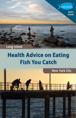 Long Island and New York City: Health Advice on Eating the Fish You Catch