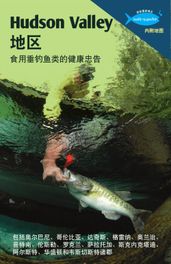 Simplified Chinese