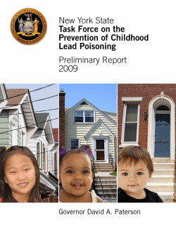 New York State Task Force on the Prevention of Childhood Lead Poisoning Preliminary Report 2009