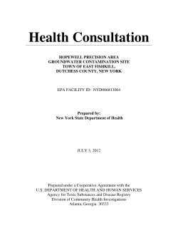 Health Consultation